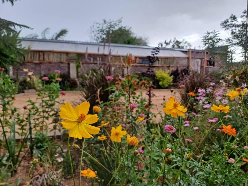 Knowhere Selfcatering Unit 1 Na 奥马鲁鲁 外观 照片